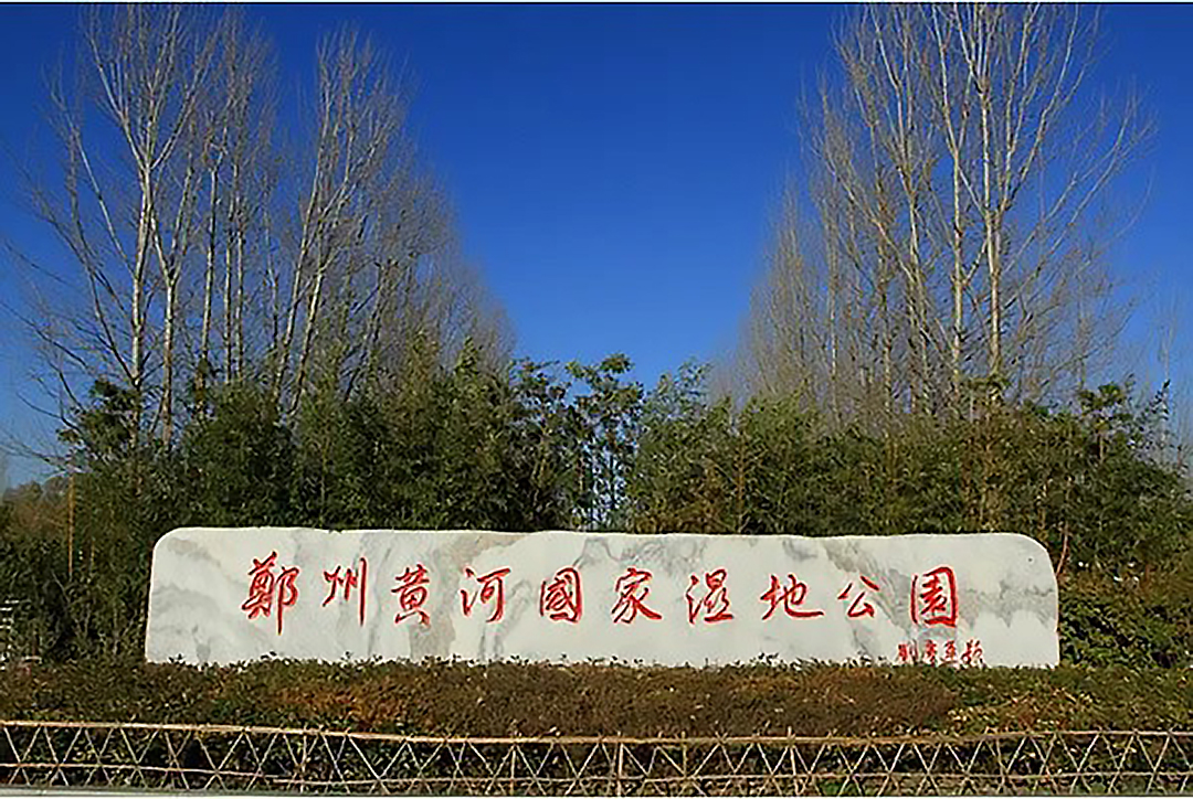 永久不变的49出码规律2020年黄河滩骑行