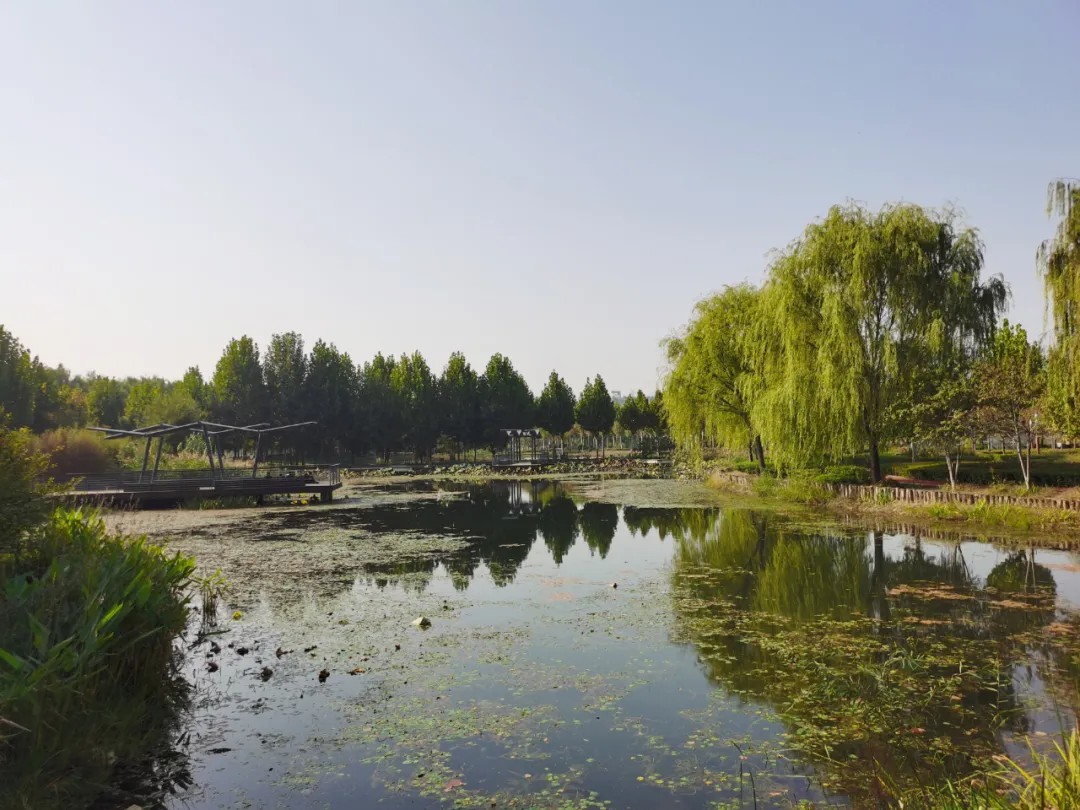 永久不变的49出码规律2020年黄河滩骑行